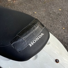 ホンダ Dio（ディオ）白の画像