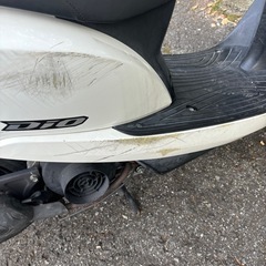 ホンダ Dio（ディオ）白の画像