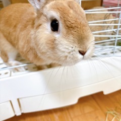 ✨📣タロットモニター募集中です