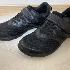 スニーカー　瞬足
の画像