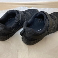 スニーカー　瞬足
の画像