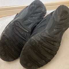 スニーカー　瞬足
の画像