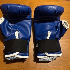 キックボクシング用　グローブ(女性用) Mの画像