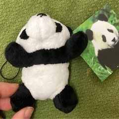 パンダ　ぬいぐるみ　キーホルダーの画像