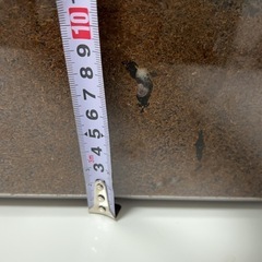 アンタエウスオオクワガタ幼虫　クワガタ　カブトムシの画像