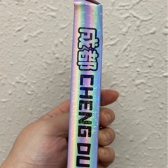 成都パンダ　マグネットの画像