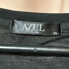 ペイズリー柄 Tシャツ 3L  カッコイイの画像