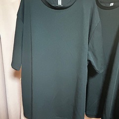 4L 新品 Tシャツ 2枚セットの画像