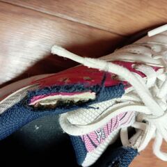 ミズノテニスシューズの画像