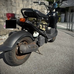 ズーマー　❣️の画像