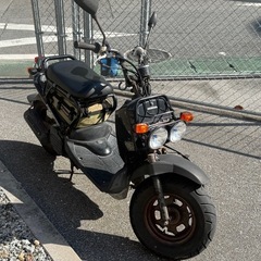 ズーマー　❣️の画像