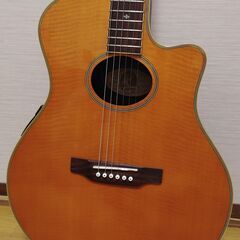 31. Epiphone El Rio (ケース付き)の画像