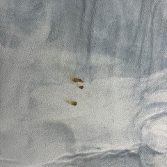 電気カーペット3畳相当の画像