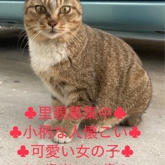 ♣︎人慣れしている♣︎可愛い小柄な女の子です♣︎