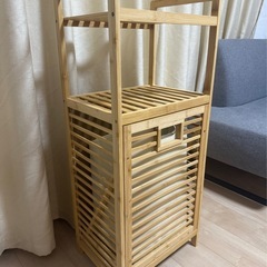 斜め出しランドリーハンペルの画像