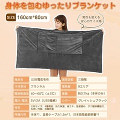 【新品】電気毛布 掛け 敷き 兼用　電気ブランケット6in1 着る電気毛布 LED温度表示 3段階調節　電気ひざ掛け　大判サイズの画像