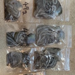 釣り餌用　シガヤーダコの画像