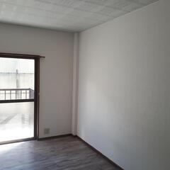 🌟敷礼無料！陽当り良好な南面リビングの1DK