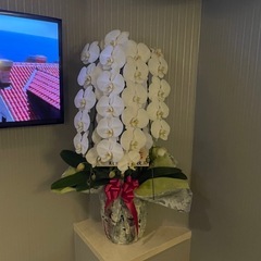 【急募／学生歓迎／完全日払い】の画像