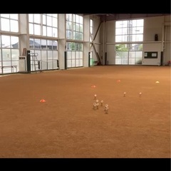 金沢　モルック大会開催！