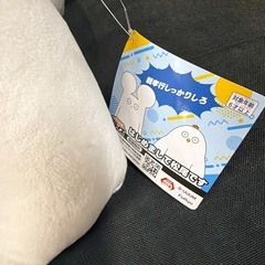 はじめまして松尾です ぬいぐるみの画像