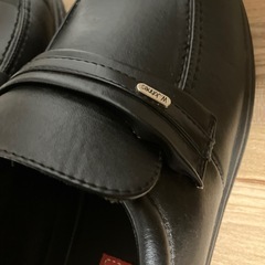 大きいサイズの紳士用　靴　の画像