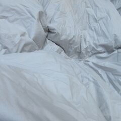 羽毛布団　ダウン　シングル　ボリュームタイプ　グレーの画像