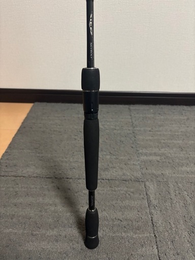 バス釣り　スピニング　ダイワ　スティーズ　スカイボルト