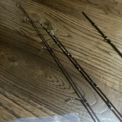 ルアーロッドツララボンバダアクアクプアス 48＋おまけのサブロッドの画像