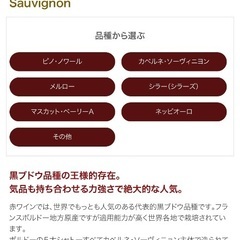 カベルネ・ソーヴィニヨン Cabernet Sauvignon  赤ワイン　オーストラリアの画像