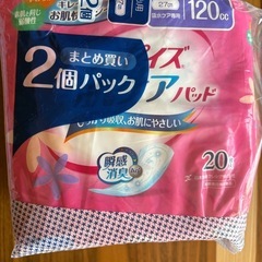 パッド　20枚入り5袋の画像