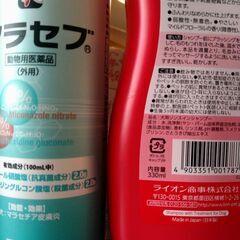 犬のシャンプーの画像