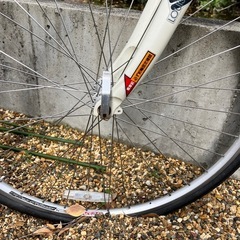 ルイガノ　自転車の画像