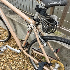 ルイガノ　自転車の画像