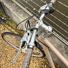 ルイガノ　自転車の画像