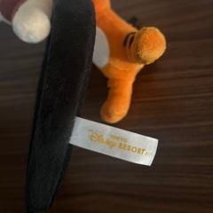 ディズニーランドカチューシャの画像