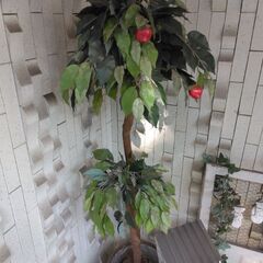 フェイク木、カジュマル？の画像