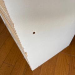 【引き取り12/13希望】2段ボックスの画像