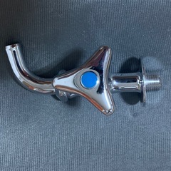 ジャグチの画像