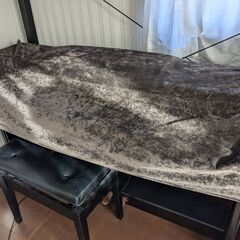 Technics　電子ピアノの画像