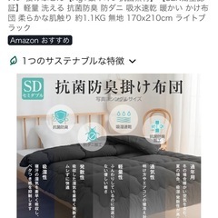 Sun Deco 掛け布団 肌掛け布団 セミダブルの画像