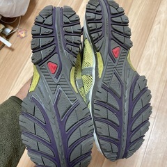 salomon の画像