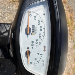 ホンダ　ライブディオ　(検)原付き　スクーター　オートバイ　バイク　通学　通勤の画像