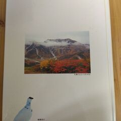 『グラフ 立山黒部アルペンルート』立山黒部貫光株式会社の画像