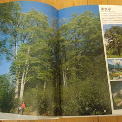 『グラフ 立山黒部アルペンルート』立山黒部貫光株式会社の画像