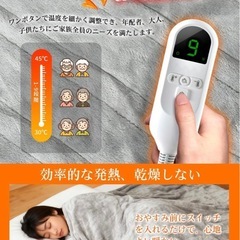 【新品・未使用】電気毛布【直接お取引限定】の画像