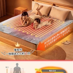 【新品・未使用】電気毛布【直接お取引限定】の画像