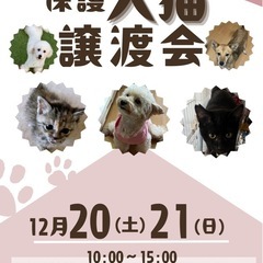 帯広にて譲渡会開催