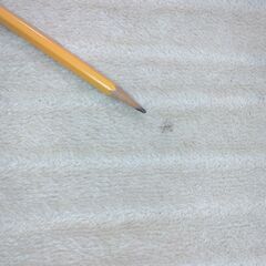 ホットカーペット（大）の画像