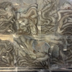 シガヤーダコ　2kgの画像